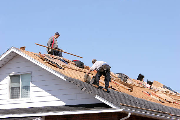 Best Roof Ventilation Installation  in Linganore, MD